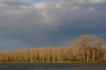 bord du Rhin